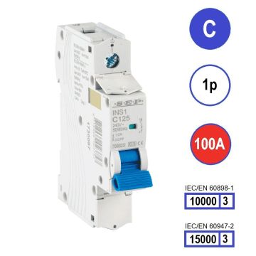 SEP INS1-1C100 installatieautomaat 1-polig 100A C-karakteristiek met verzegelbare aansluitafdekking