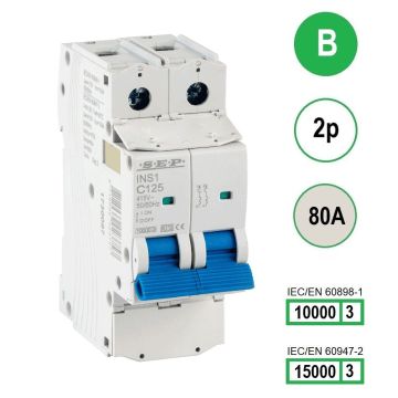 SEP INS1-2B80 installatieautomaat 2-polig 80A B-karakteristiek met verzegelbare aansluitafdekking