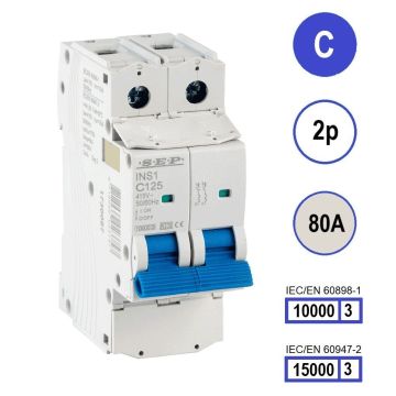 SEP INS1-2C80 installatieautomaat 2-polig 80A C-karakteristiek met verzegelbare aansluitafdekking
