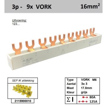 Schotman Elektro - SEP 16F03009G06 aansluitrail 16mm2 80A 125A