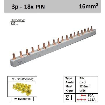 Schotman Elektro - SEP 16P03018G00 aansluitrail 16mm2 80A 125A