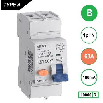 Schotman Elektro B.V. - SEP RCM1 1p+n B 63A 100mA 10kA aardlekautomaat