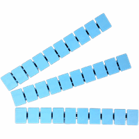 XIN marker (50x) ZB10-BL