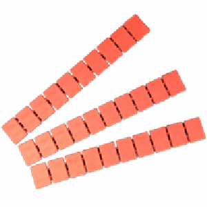 XIN marker (100x) ZB5-RD