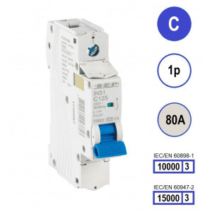 Schotman Elektro B.V. - SEP INS1-1C80 - 10/15kA