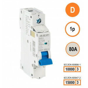 Schotman Elektro B.V. - SEP INS1-1D80 10/15kA