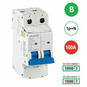 Schotman Elektro B.V. - SEP INS1-1NB100 - 10/15kA