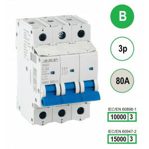 Schotman Elektro B.V. - SEP INS1-3B80 - 10/15kA