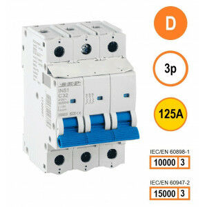 Schotman Elektro B.V. - SEP INS1-3D125 - 10/15kA