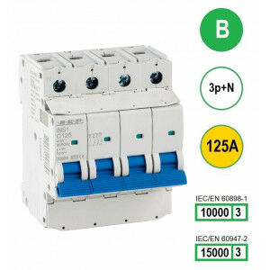Schotman Elektro B.V. - SEP INS1-3NB125 - 10/15kA