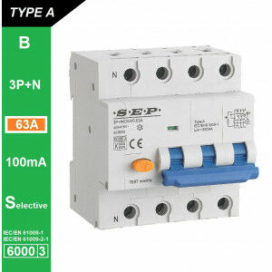 Schotman Elektro B.V. - SEP RCM4 Aardlekautom. 3p+n B63 100mA Selectief 6kA