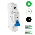 SEP INS1 inst.aut  1p - B - 1A - 10/15kA