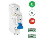 SEP INS1 inst.aut  1p - B - 100A - 10/15kA