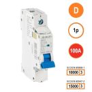 SEP INS1 inst.aut  1p - D - 100A - 10/15kA