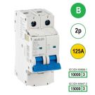 SEP INS1 inst.aut  2p - B - 125A - 10/15kA