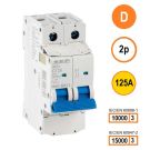 SEP INS1 inst.aut  2p - D - 125A - 10/15kA