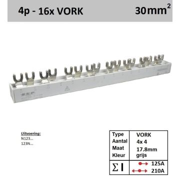 Schotman Elektro - SEP aansluitkam 30F04016G06 verdeelkam 4x 4 Vork 