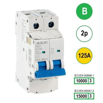 SEP INS1-2B125 installatieautomaat 2-polig 125A B-karakteristiek met verzegelbare aansluitafdekking