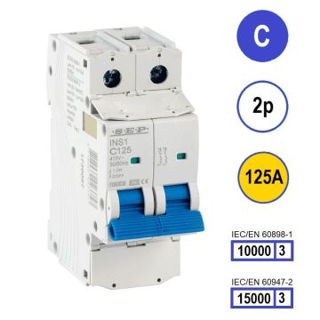 SEP INS1-2C125 installatieautomaat 2-polig 125A C-karakteristiek met verzegelbare aansluitafdekking