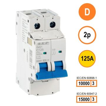 SEP INS1-2D125 installatieautomaat 2-polig 125A D-karakteristiek met verzegelbare aansluitafdekking
