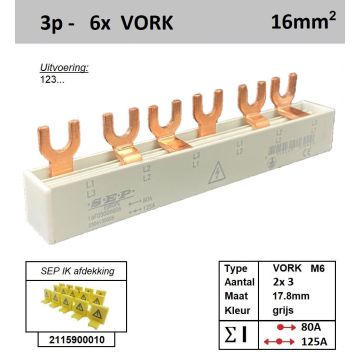 Schotman Elektro - SEP 16F03006G06 aansluitrail 16mm2 80A 125A