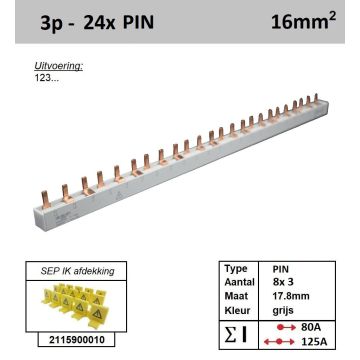Schotman Elektro - SEP 16P03024G0 aansluitrail 16mm2 80A 125A